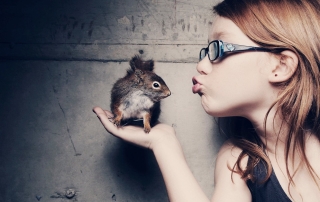 verve photography customer experience hamster
