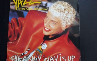 yazz singer